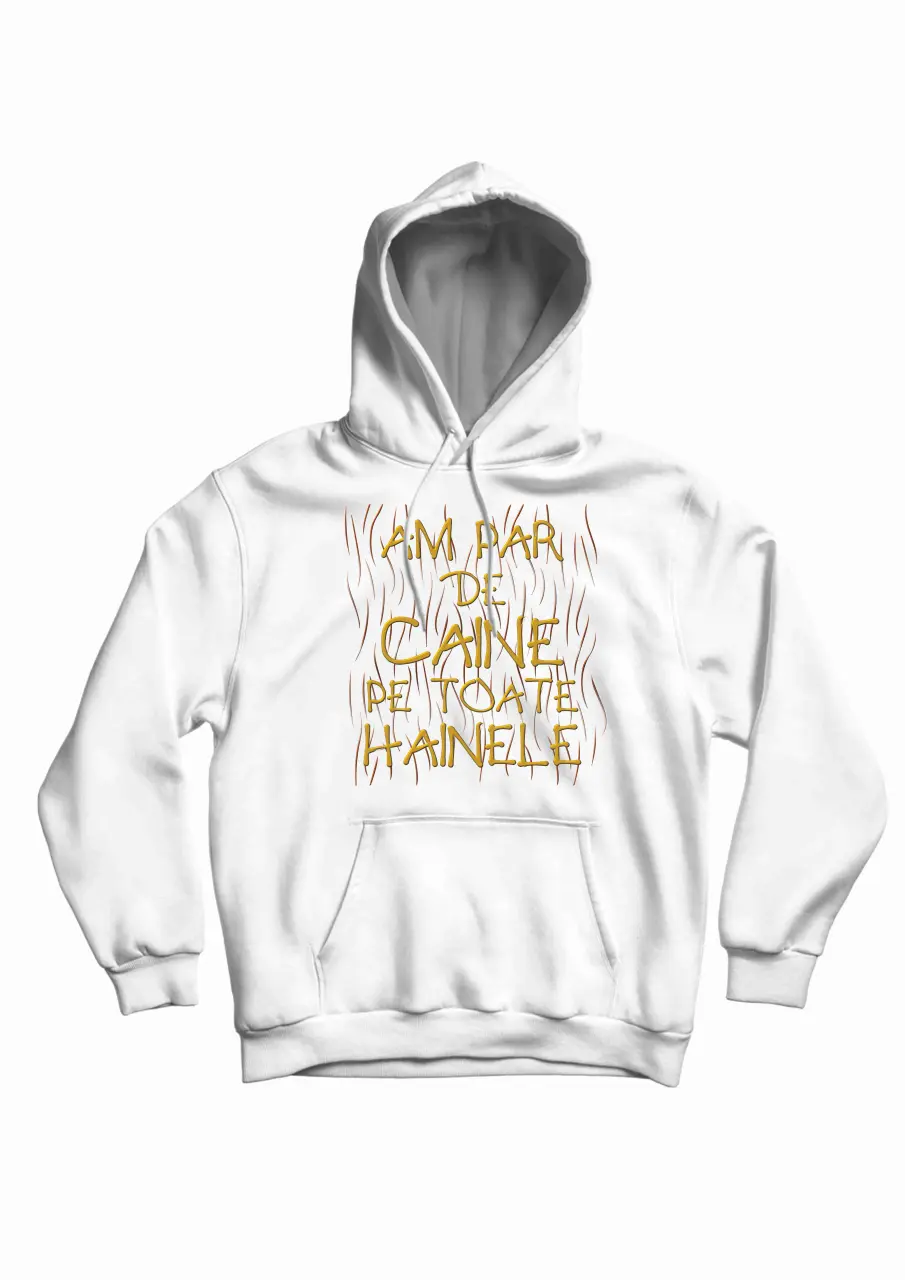 AM PAR DE CAINE PE TOATE HAINELE HANORAC