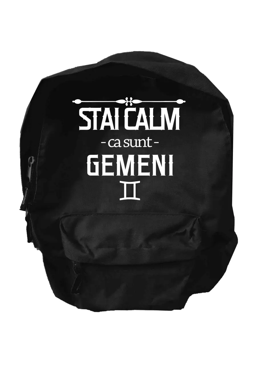 STAI CALM CA SUNT GEMENI GHIOZDAN