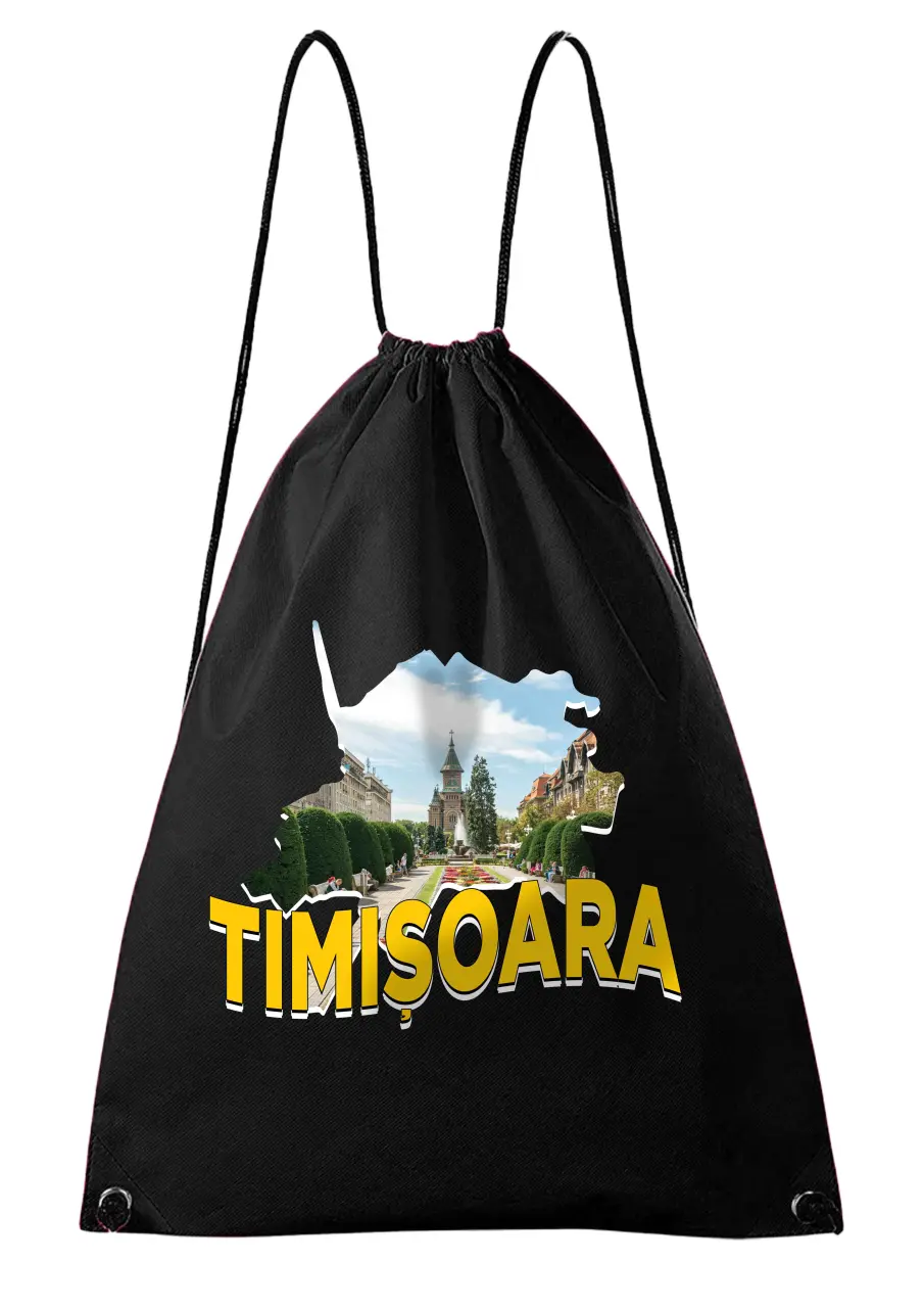timisoara.jpg