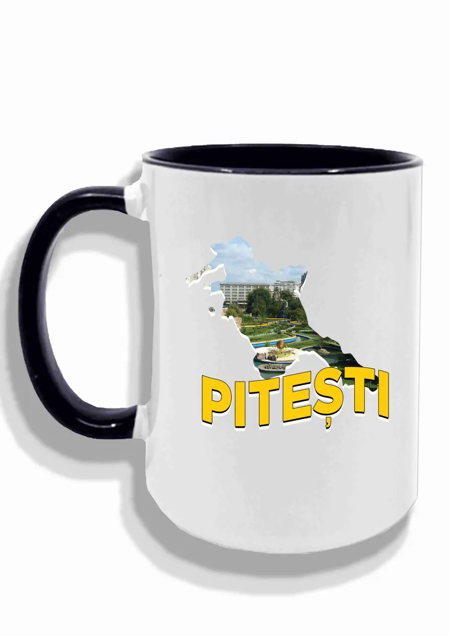 PITESTI CUP.jpg